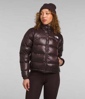 The North Face 2000 Retro Nuptse Dunjakke Dame Brune | NORGE QDCTIY