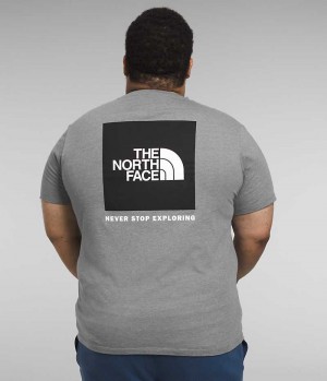 The North Face Big Kort Sleeve Box NSE T-Skjorte Herre Grå | NORGE YUONEW