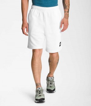 The North Face Box NSE Shorts Herre Hvite | OSLO OSMCGZ