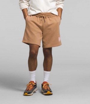 The North Face Box NSE Shorts Herre Khaki | NORGE YZHBNX