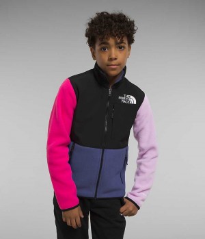 The North Face Denali Fleecejakker Gutt Multicolor | OSLO QKWYEG