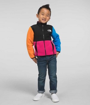 The North Face Denali Fleecejakker Gutt Multicolor | OSLO NLYJTW