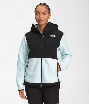 The North Face Denali Hoodie Fleecejakker Dame Svarte Turkis | NORGE IFYJDL