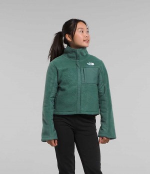 The North Face Fleece Mashup Fleecejakker Jente Grønn | OSLO BJWOAF