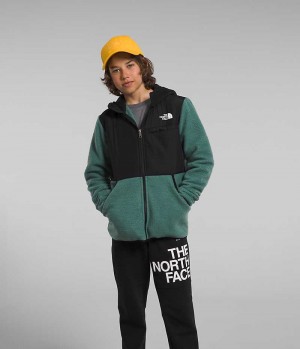 The North Face Forrest Full-Zip Hette Fleecejakker Gutt Grønn | NORGE AFQBPD