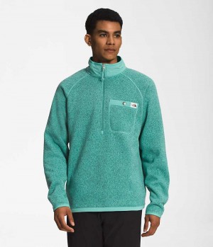 The North Face Gordon Lyons ¼-Zip Pullover Herre Turkis | NORGE XJBRHW