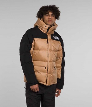 The North Face HMLYN Down Parka Herre Khaki Svarte | NORGE UCNWKB