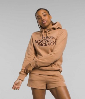 The North Face Half Dome Pullover Hettegenser Dame Brune | OSLO YHWVBO