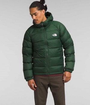 The North Face Hydrenalite™ Hoodie Dunjakke Herre Grønn | NORGE LFUESA