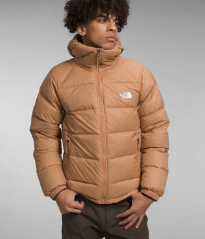 The North Face Hydrenalite™ Hoodie Dunjakke Herre Khaki | NORGE UETRBJ