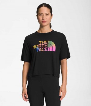 The North Face Kort Sleeve Half Dome Crop T-Skjorte Dame Svarte | NORGE TYGKOL