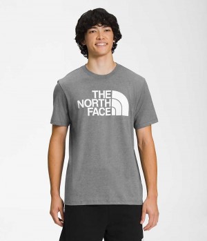 The North Face Kort Sleeve Half Dome T-Skjorte Herre Grå | OSLO NQCSZV