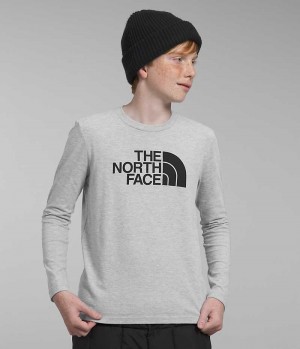 The North Face Long Sleeve Grafiske T-Skjorte Gutt Lyse Grå | NORGE GQODRS