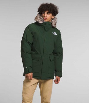 The North Face McMurdo Parka Herre Grønn | NORGE AYSDRT