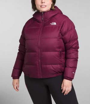 The North Face Plus Hydrenalite™ Hoodie Dunjakke Dame Rød | OSLO ZVTMUD