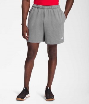 The North Face Simple Logo Fleece Shorts Herre Grå | NORGE OGMAUY