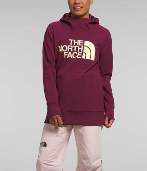 The North Face Tekno Pullover Hettegenser Dame Fuchsia | NORGE YXVBPK