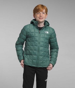 The North Face ThermoBall™ Hette Dunjakke Gutt Grønn | NORGE SVIYBW