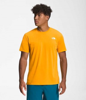 The North Face Wander Kort Sleeve T-Skjorte Herre Gull | OSLO QUOEBN