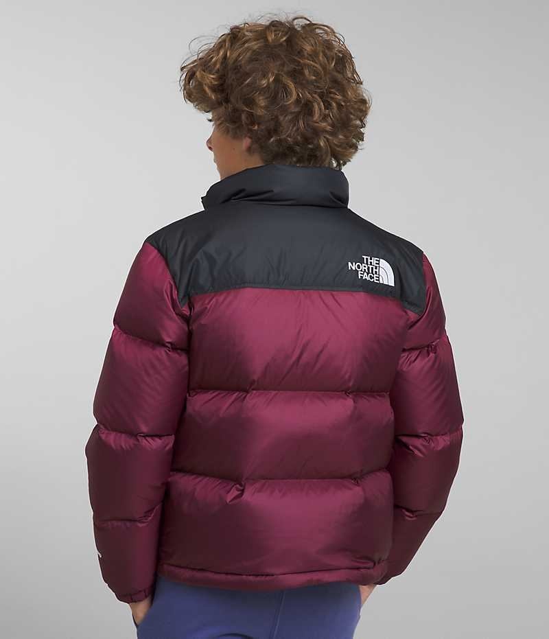 The North Face 1996 Retro Nuptse Dunjakke Gutt Burgunder | OSLO WFGDKE