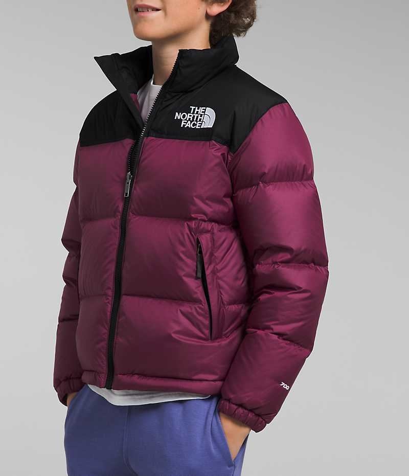 The North Face 1996 Retro Nuptse Dunjakke Gutt Burgunder | OSLO WFGDKE