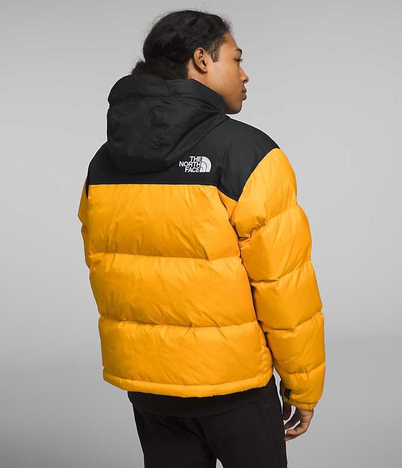 The North Face 1996 Retro Nuptse Dunjakke Herre Gull Svarte | NORGE CQUVXG