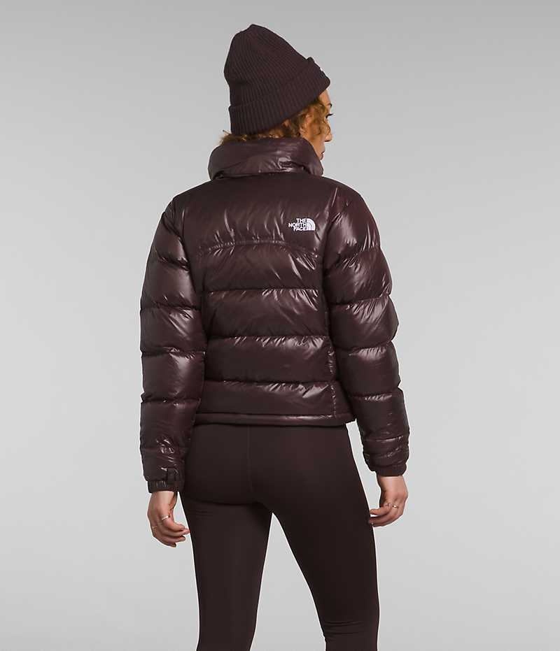 The North Face 2000 Retro Nuptse Dunjakke Dame Brune | NORGE QDCTIY