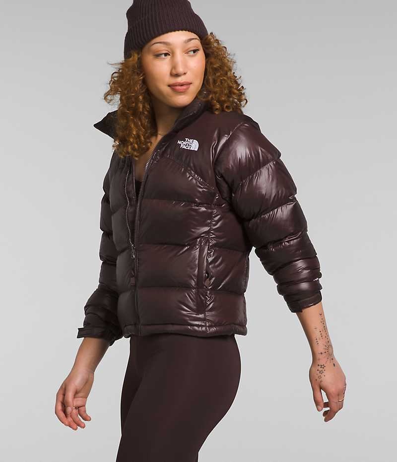 The North Face 2000 Retro Nuptse Dunjakke Dame Brune | NORGE QDCTIY