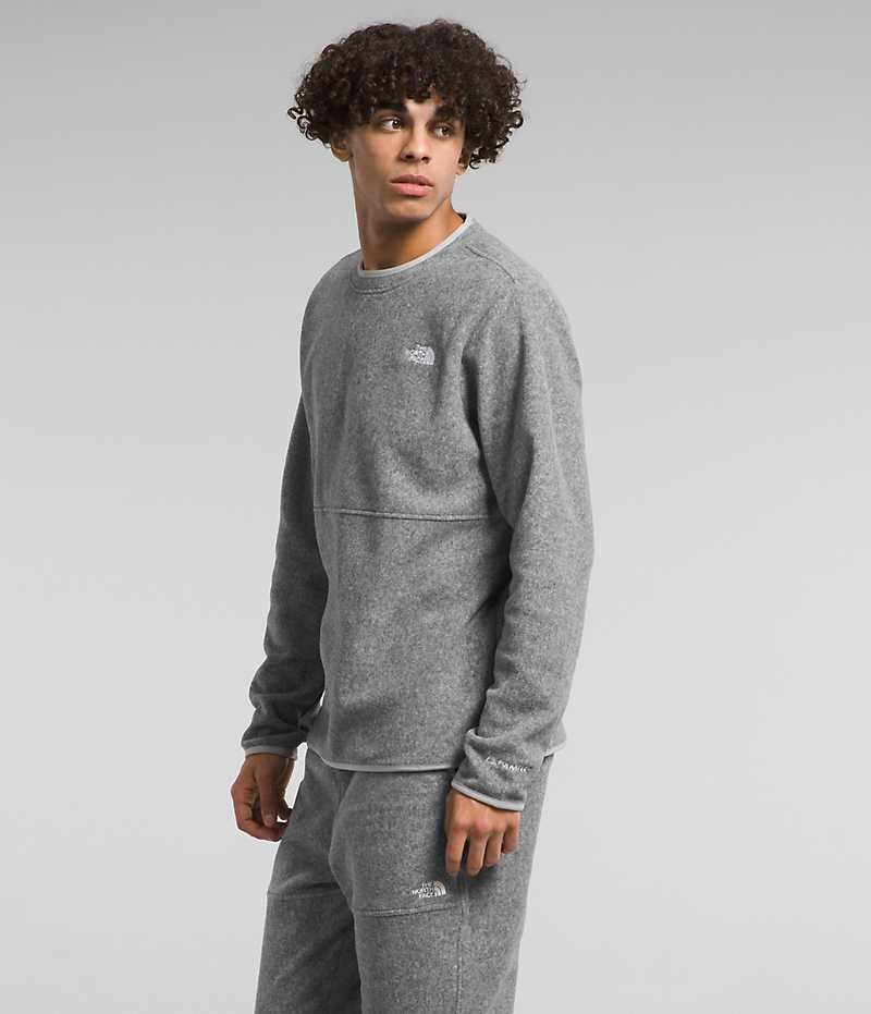 The North Face Alpine Polartec® 100 Crew Pullover Herre Grå | OSLO AKFZWG