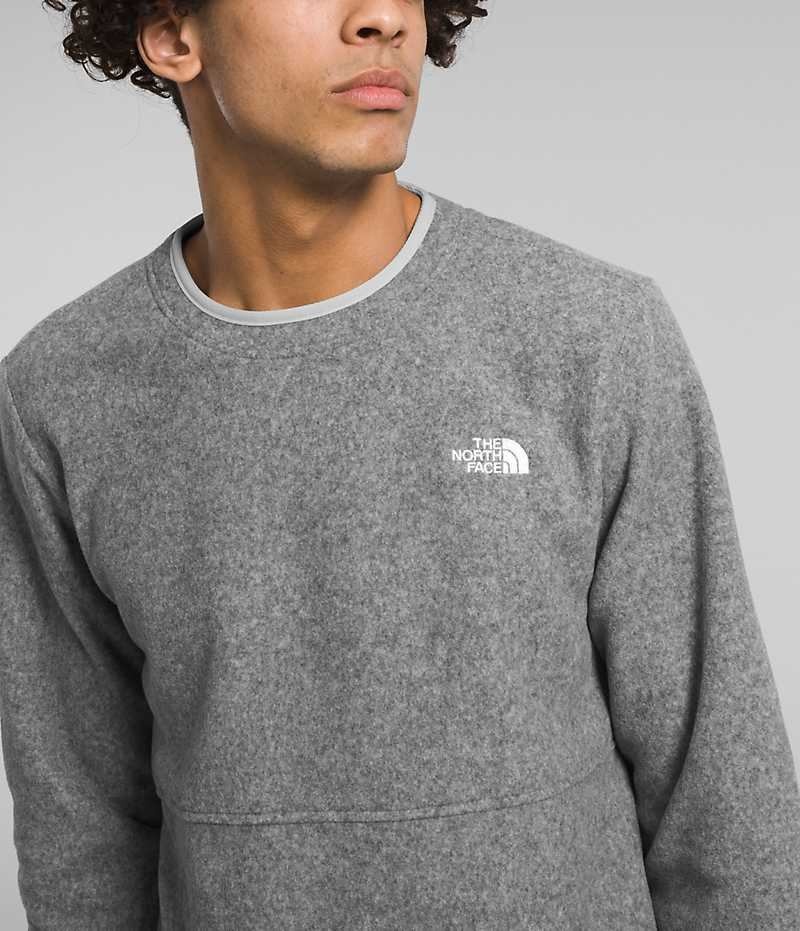 The North Face Alpine Polartec® 100 Crew Pullover Herre Grå | OSLO AKFZWG