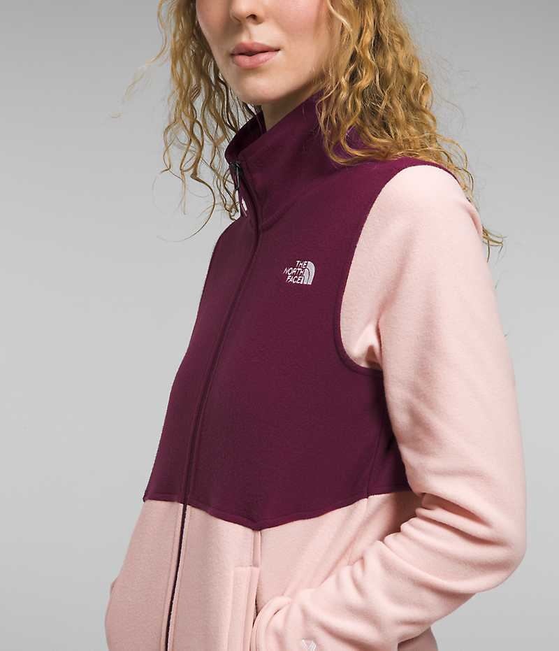 The North Face Alpine Polartec® 100 Fleecejakker Dame Rosa | NORGE SBNPGO