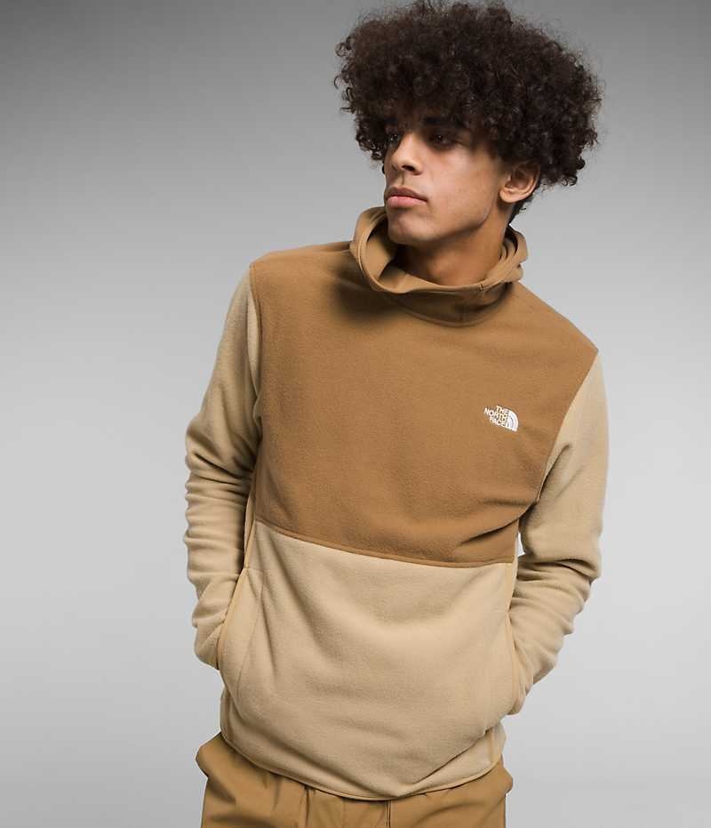 The North Face Alpine Polartec® 100 Pullover Herre Khaki Brune | OSLO FWGBSH