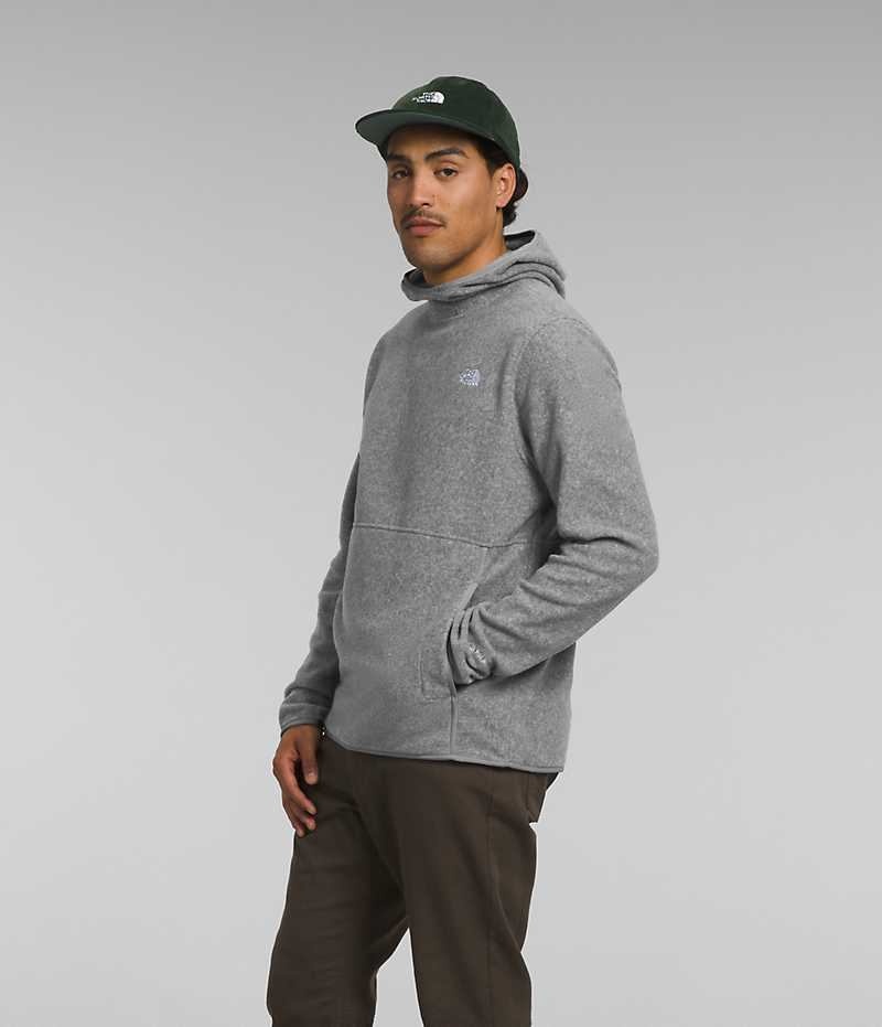 The North Face Alpine Polartec® 100 Pullover Herre Grå | OSLO GZYFPR