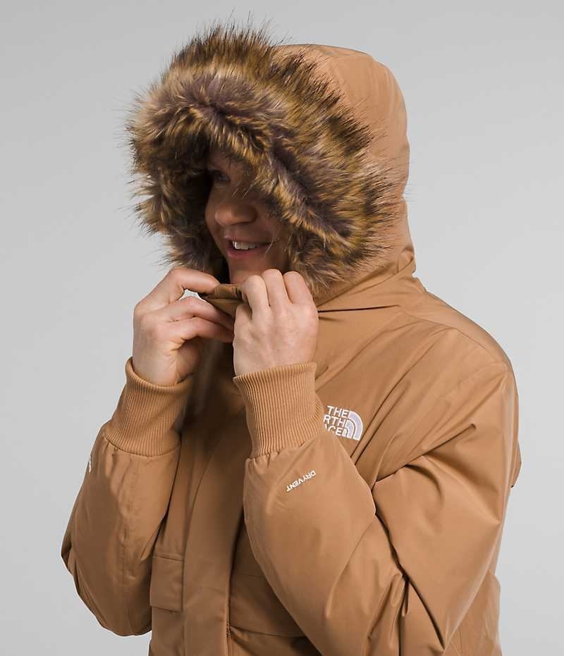 The North Face Arctic Bomberjakke Dame Brune | OSLO XYLZMU