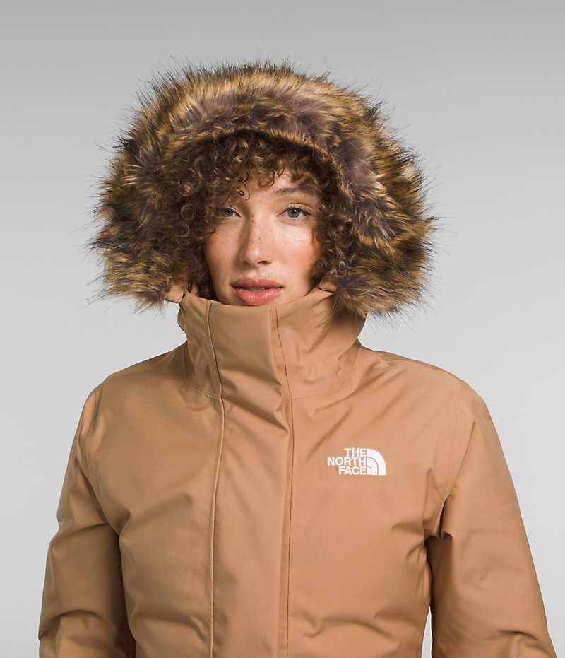 The North Face Arctic Parka Dame Brune | NORGE AHTFIS