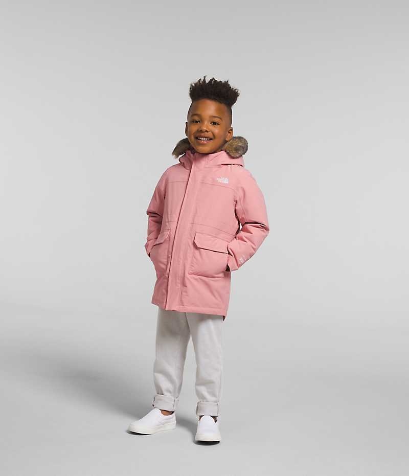 The North Face Arctic Parka Gutt Rosa | NORGE DLUVZM