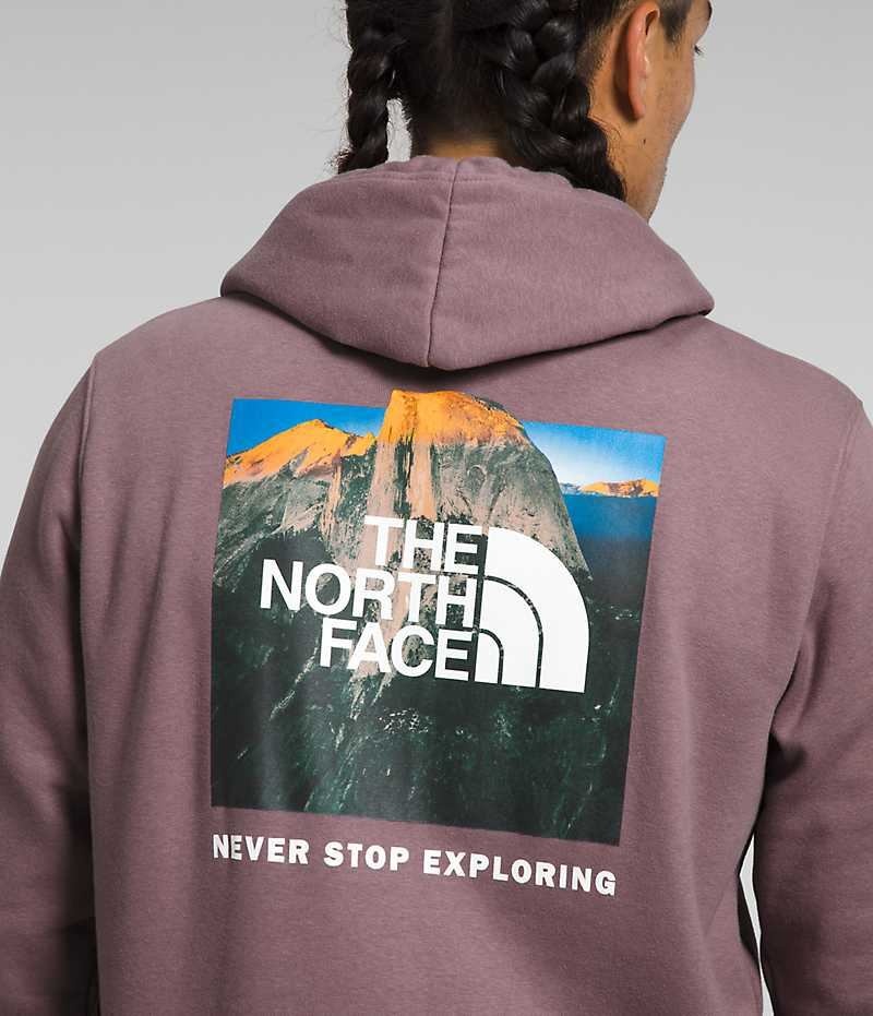 The North Face Box NSE Pullover Hettegenser Herre Fuchsia | OSLO KESLMW