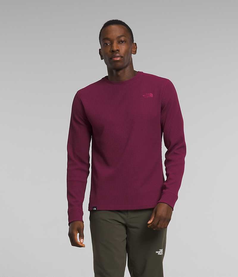 The North Face Canyon Fog Thermal Long Sleeve Pullover Herre Fuchsia | OSLO ATGXMJ