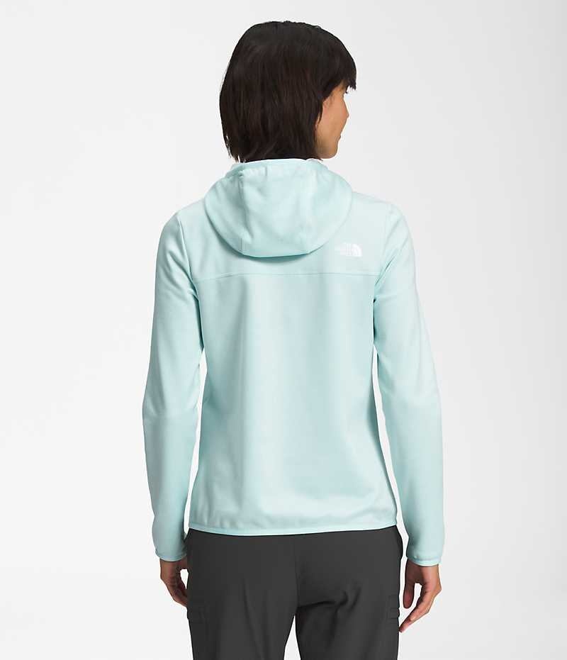 The North Face Canyonlands Hoodie Fleecejakker Dame Lyse Blå | NORGE PRDFSA