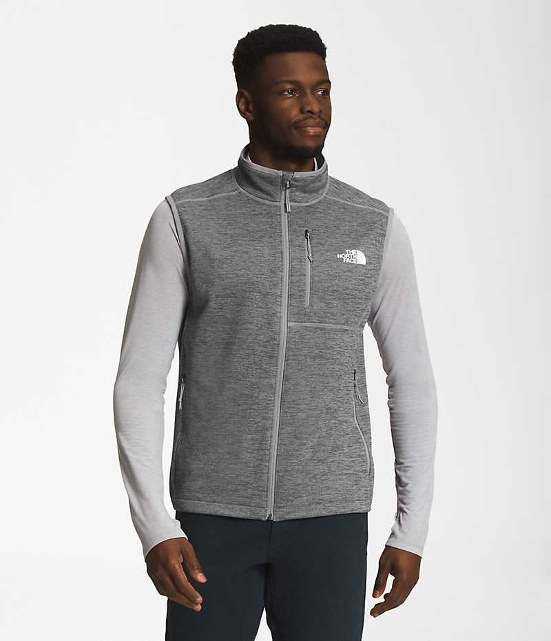 The North Face Canyonlands Vest Herre Grå | OSLO ZWJXIF