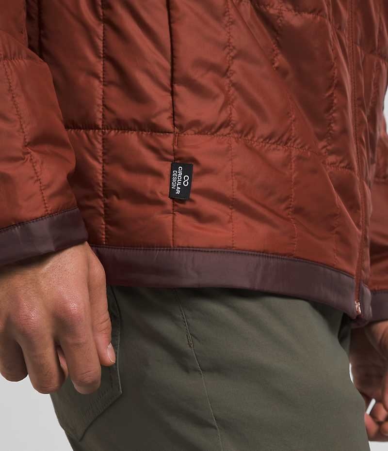 The North Face Circaloft Dunjakke Herre Brune | NORGE QYEWPU