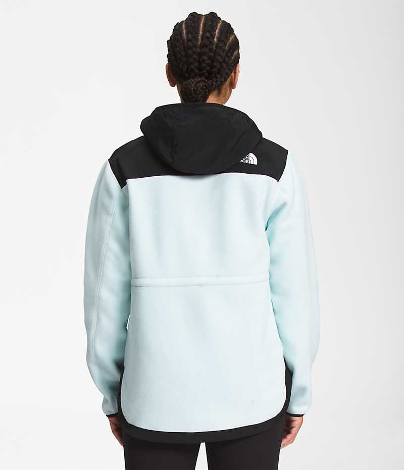 The North Face Denali Hoodie Fleecejakker Dame Svarte Turkis | NORGE IFYJDL