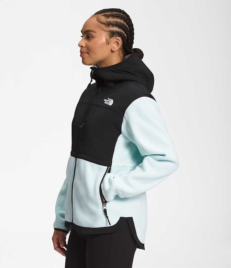 The North Face Denali Hoodie Fleecejakker Dame Svarte Turkis | NORGE IFYJDL