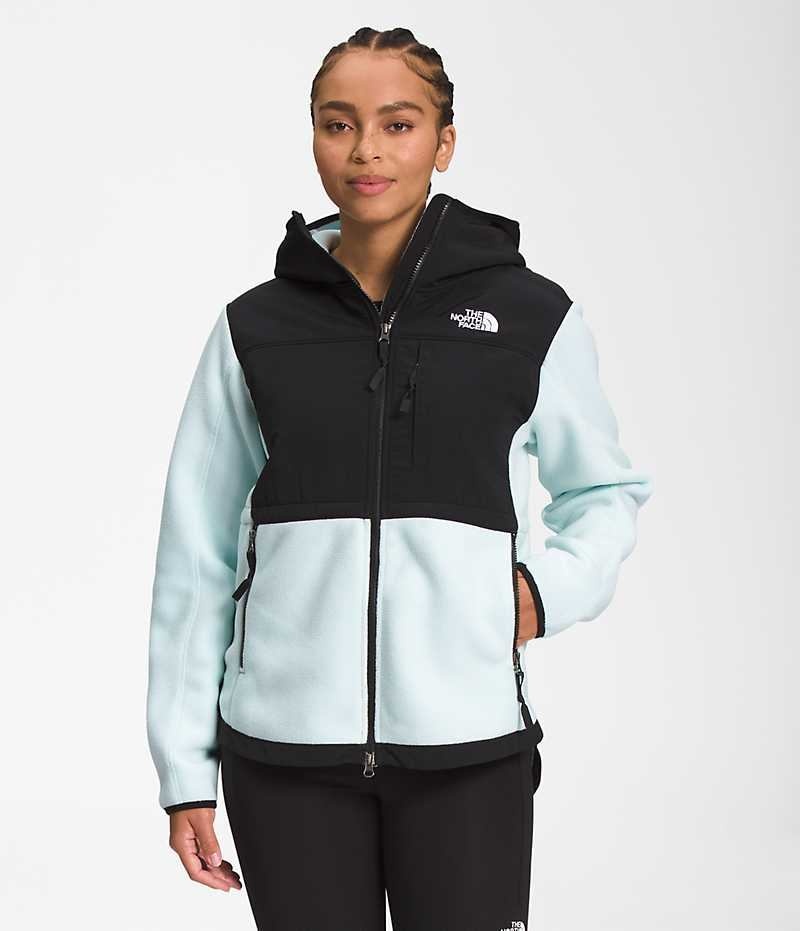 The North Face Denali Hoodie Fleecejakker Dame Svarte Turkis | NORGE IFYJDL