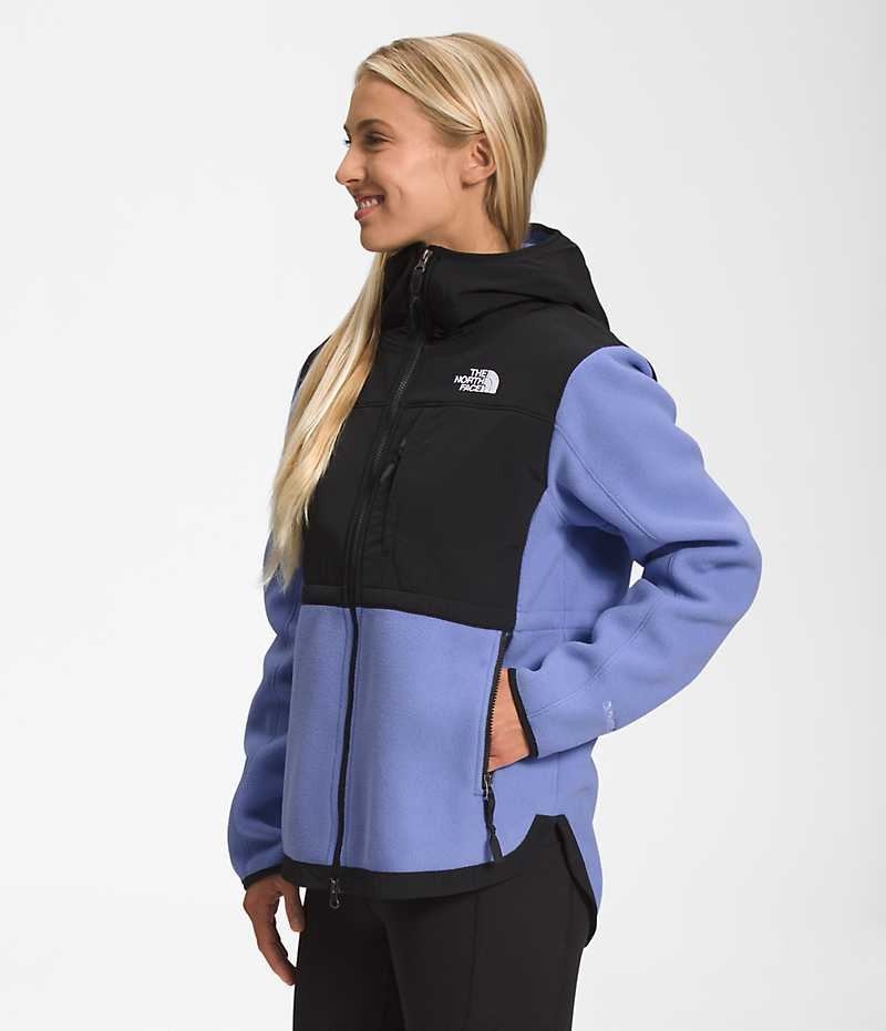 The North Face Denali Hoodie Fleecejakker Dame Svarte Blå | OSLO UBOTZH