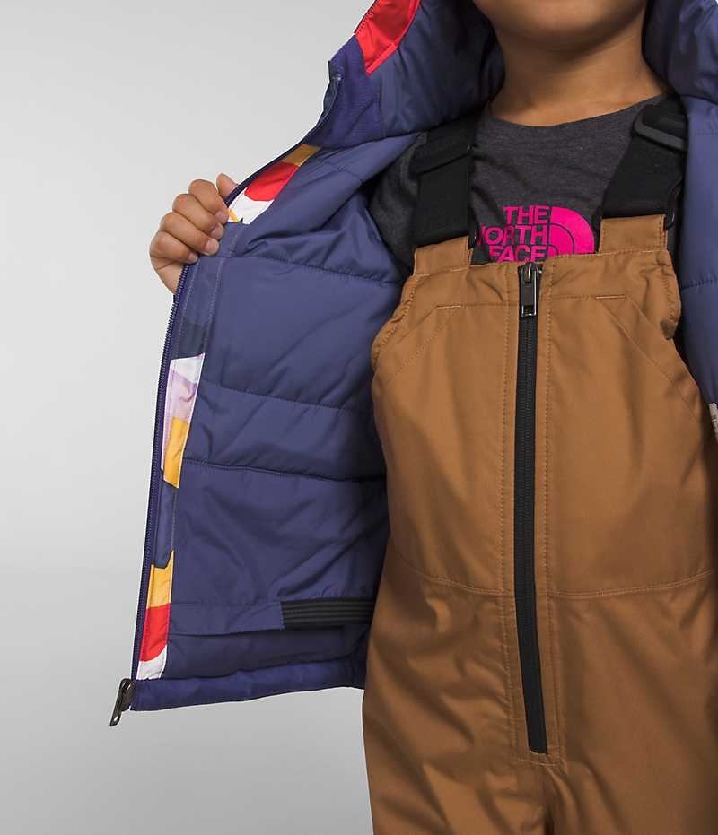 The North Face Freedom Isolerte Jakker Gutt Multicolor | OSLO LNFQIP