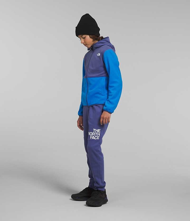 The North Face Glacier Full-Zip Hette Fleecejakker Gutt Blå | OSLO JLHSKG