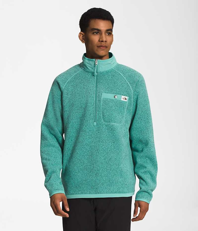 The North Face Gordon Lyons ¼-Zip Pullover Herre Turkis | NORGE XJBRHW