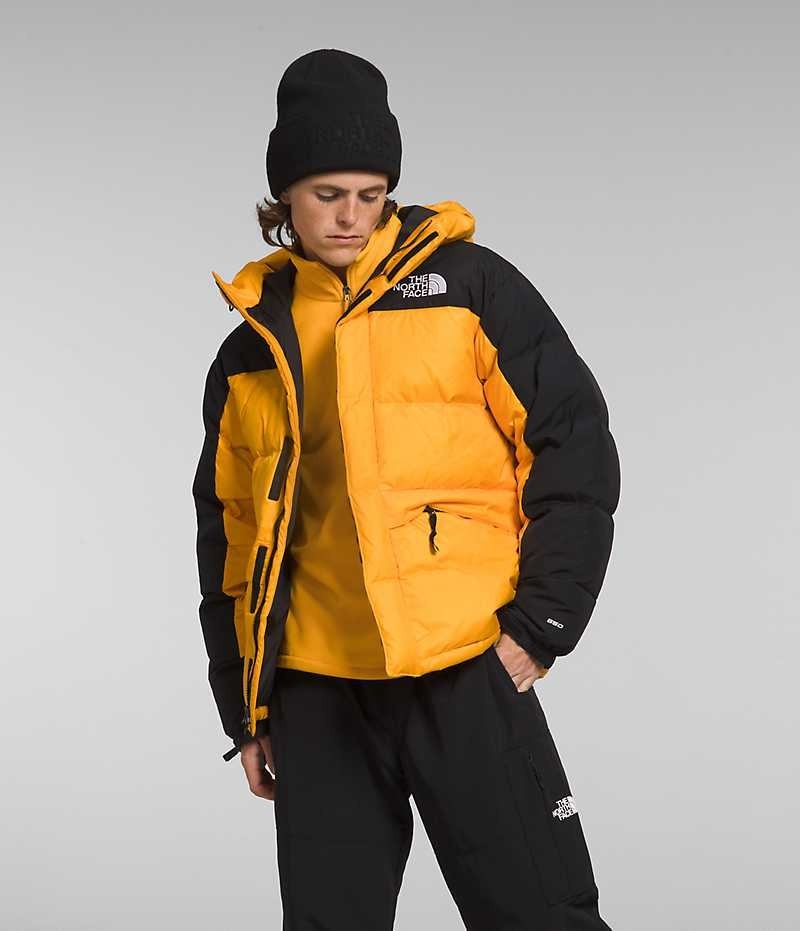 The North Face HMLYN Down Parka Herre Gull Svarte | NORGE CUZIRH