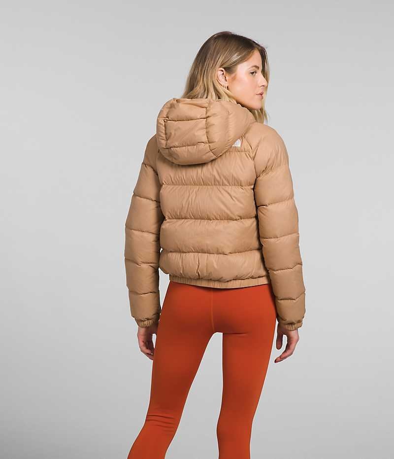 The North Face Hydrenalite™ Dunjakke Dame Brune | OSLO NPDLZQ